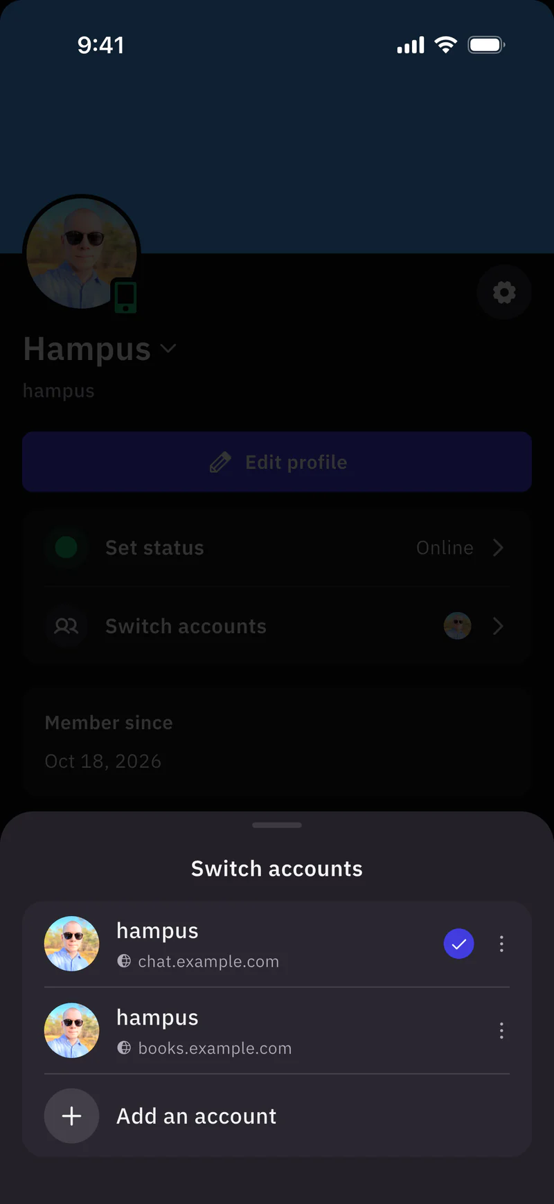 The Switch accounts sheet on iOS, with an account on chat.example.com, one on books.example.com and Add an account